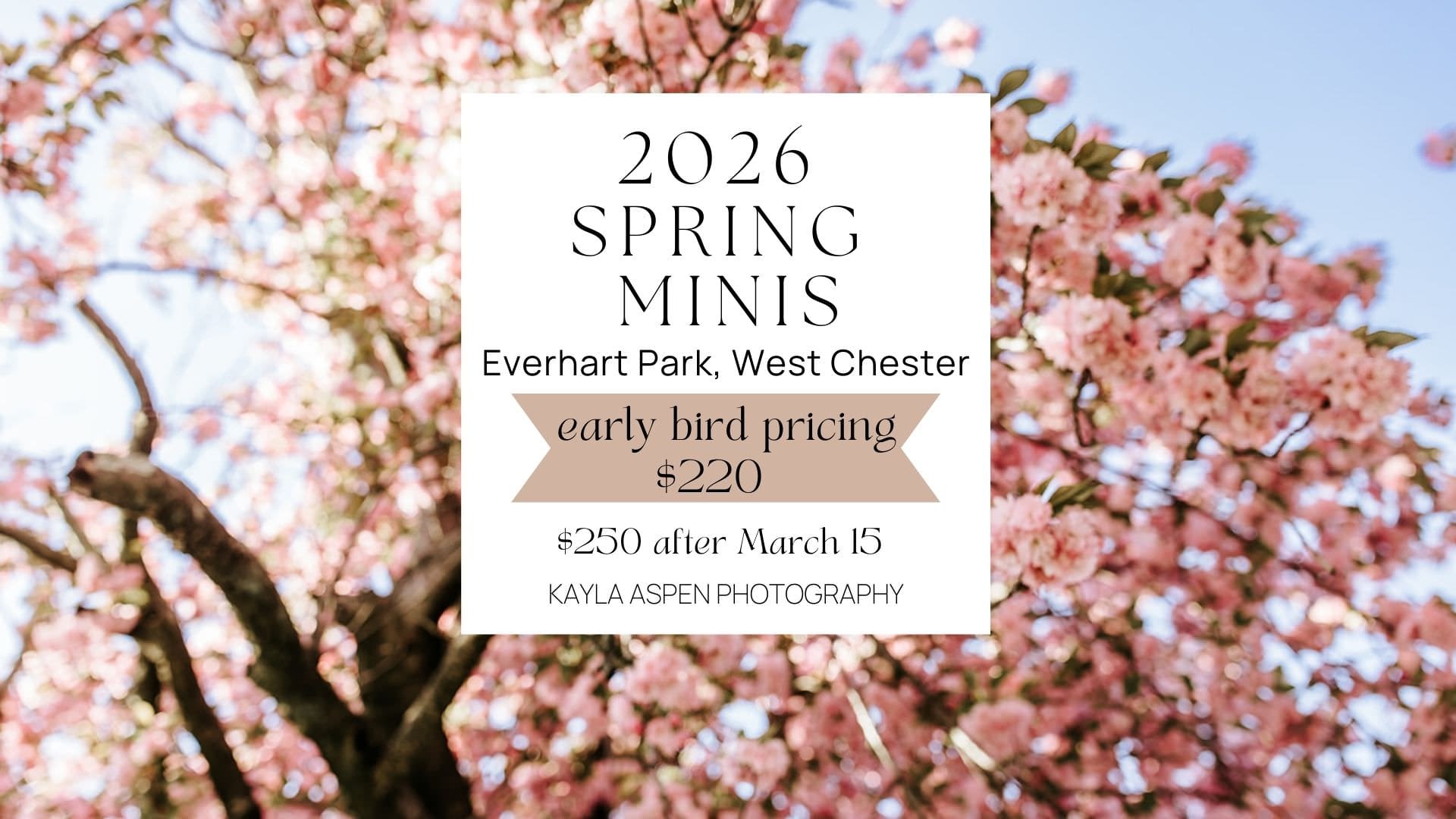 Cherry blossom spring mini sessions at Everhart Park in West Chester PA by Kayla Aspen Photography with early bird pricing for family portraits